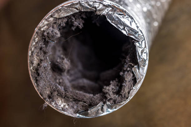 Best Local Air Duct Cleaning Services  in Lac Du Flambeau, WI